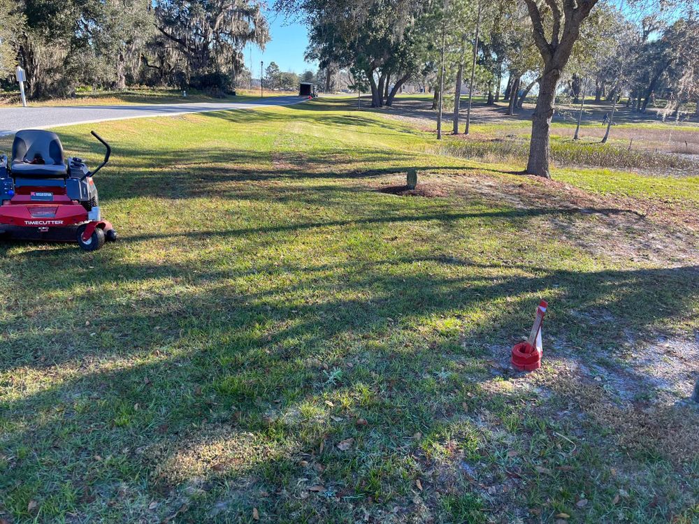 Landscaping for Fix It Manny in Clermont, FL