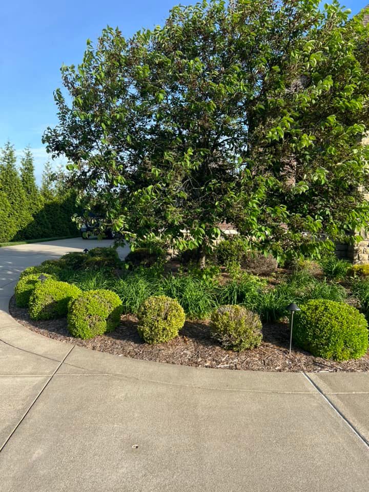 All Photos for Full Service Landscaping in Louisville, KY