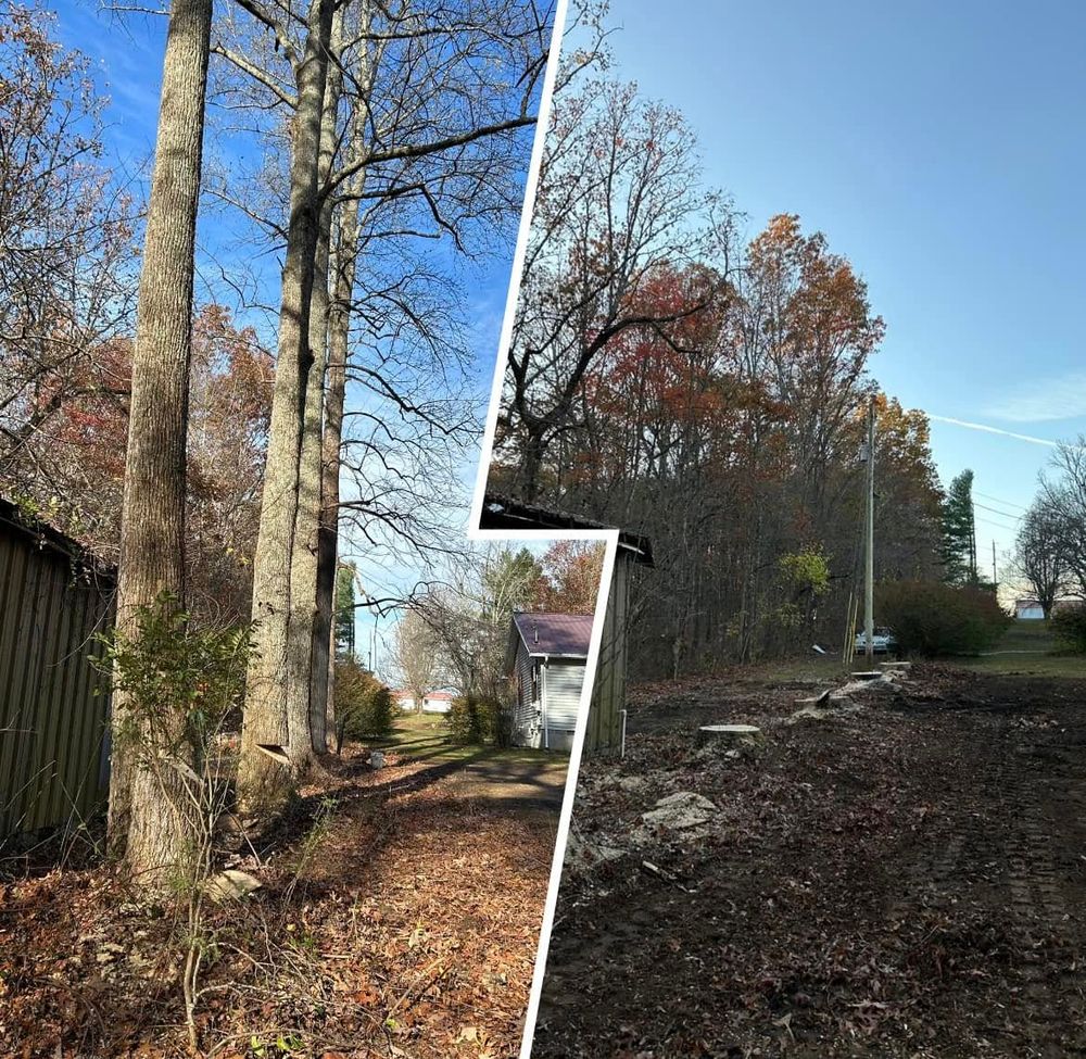 Tree Removal for McBee’s Tree Service in Sewanee, TN