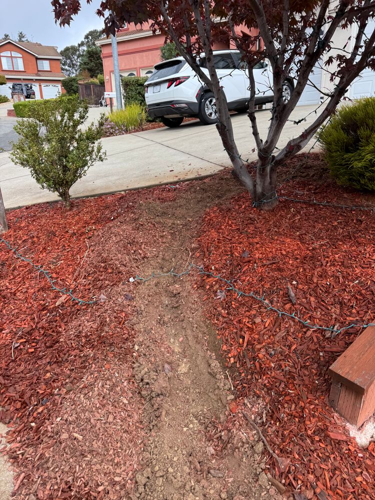 All Photos for CBA Landscaping in Hayward, CA