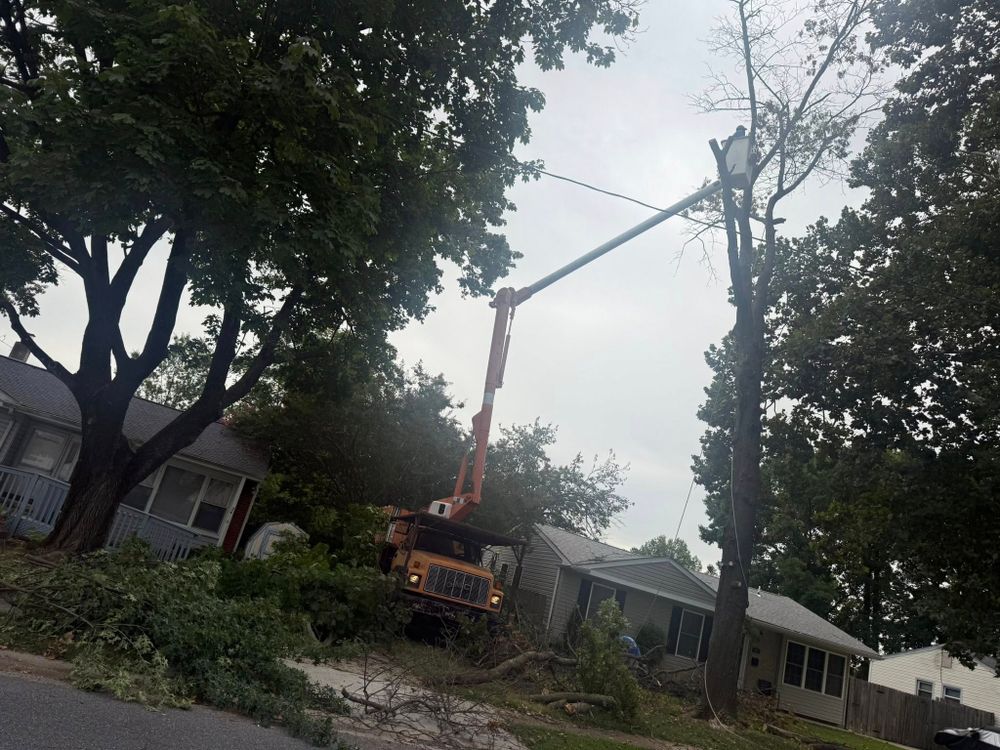 Landscaping  for TAS Lawn Care LLC in Wilmington, DE