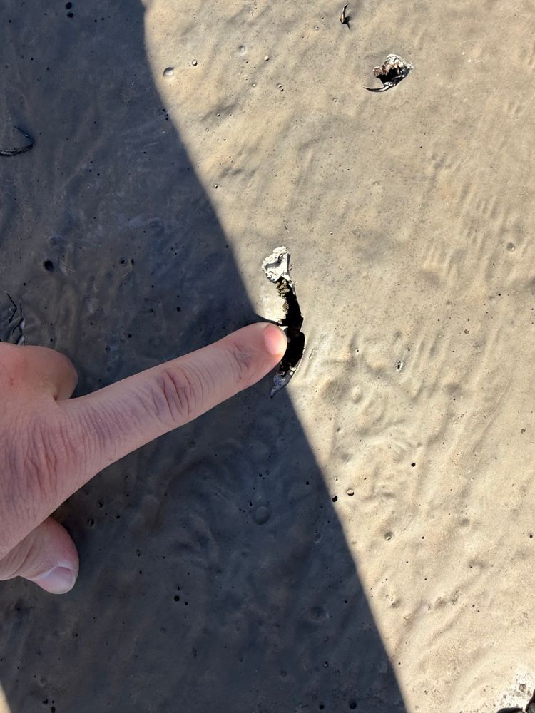 All Photos for Hometown Roofing in Greenwood, SC