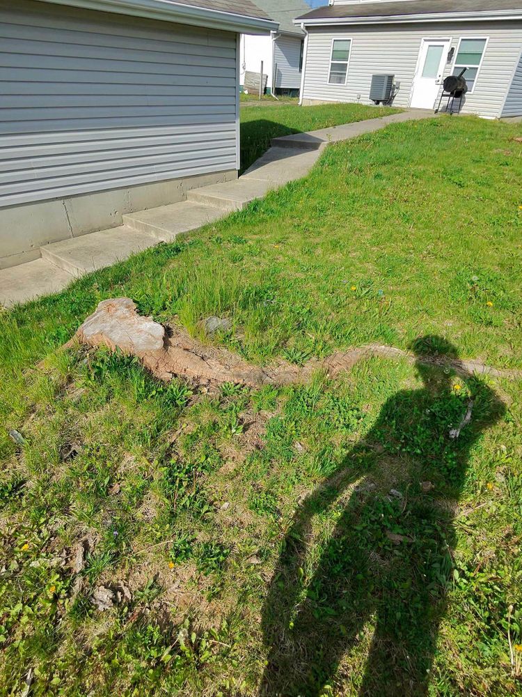 All Photos for F & F Tree Service in Beavercreek, OH