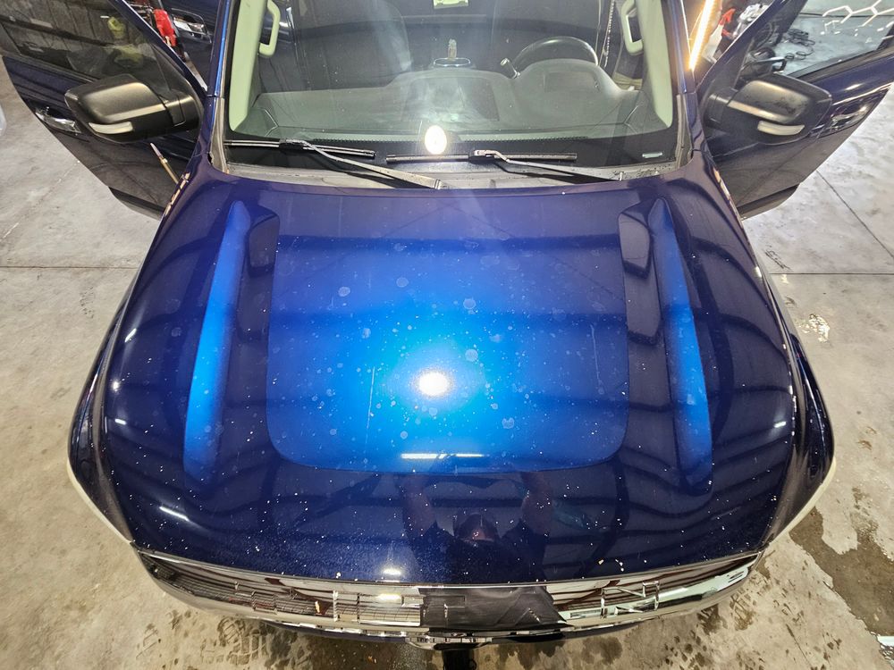 Paint Correction  for Michael's Auto Detailing  in Lakeland, FL