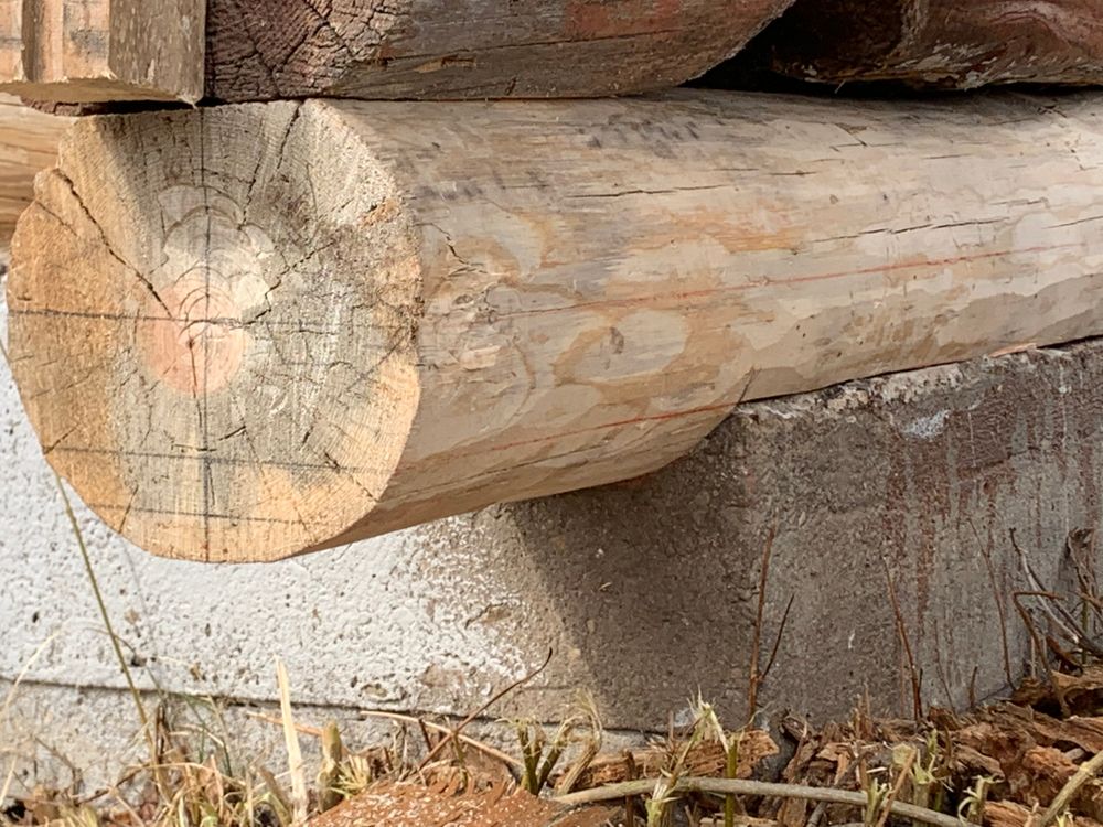 All Photos for Wild West Log home specialists in Corvallis, MT