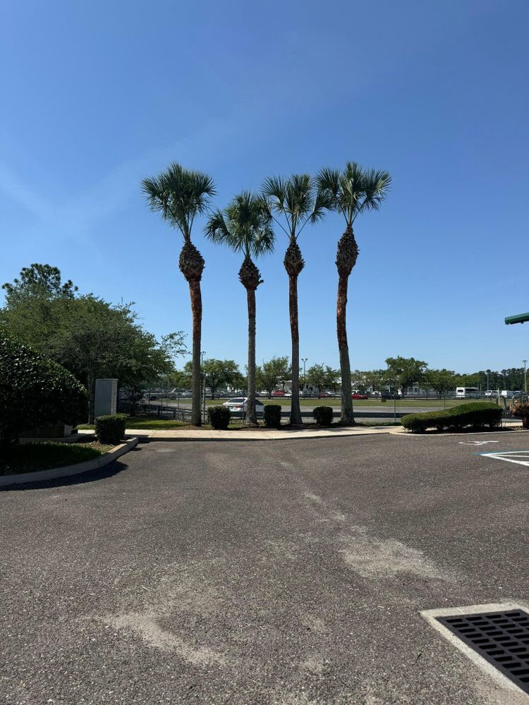 All Photos for Jacksonville Outdoors in Jacksonville, FL