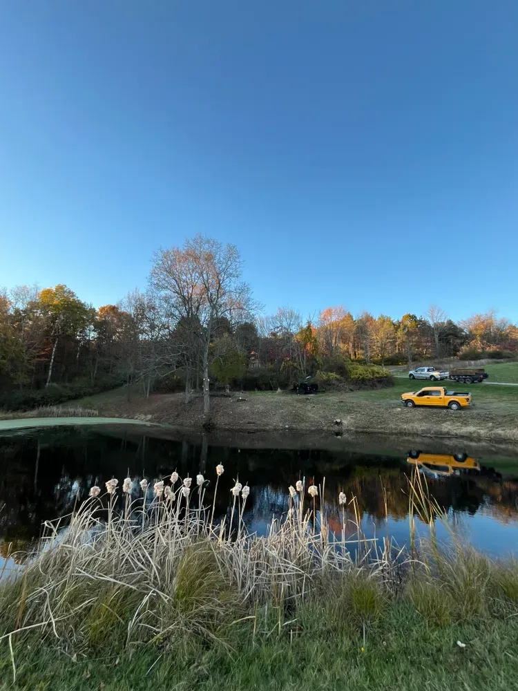 All Photos for Licensed to Cut Tree Service in Athens, PA