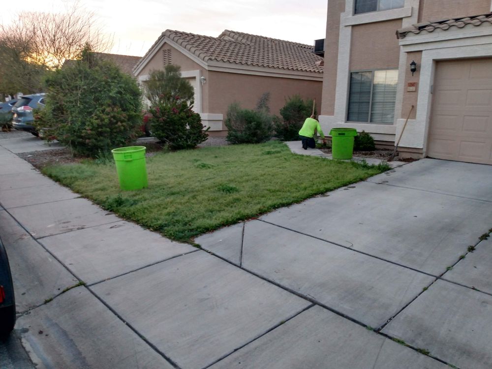 Shrub triming for Sharp Image LLC Landscaping & Hardscape in Phoenix, AZ