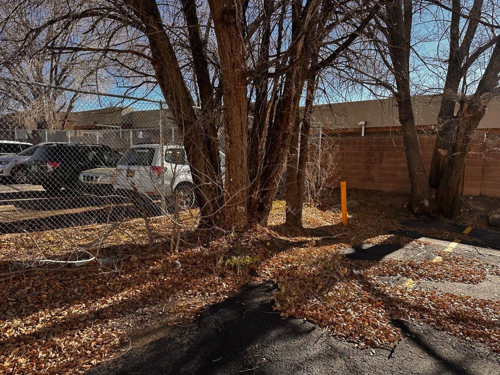 All Photos for 2 Brothers Landscaping in Albuquerque, NM