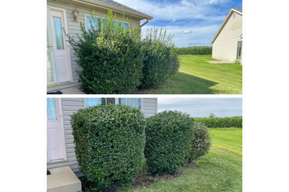 Landscaping transformations for Andrew's Lawn Service LLC in Lebanon, IL