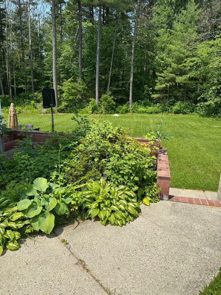 All Photos for Silver City Tree and Landscape in Taunton, MA