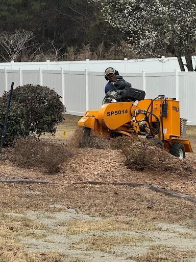 All Photos for Tucker's Tree Service and Stump Grinding in Lugoff, SC