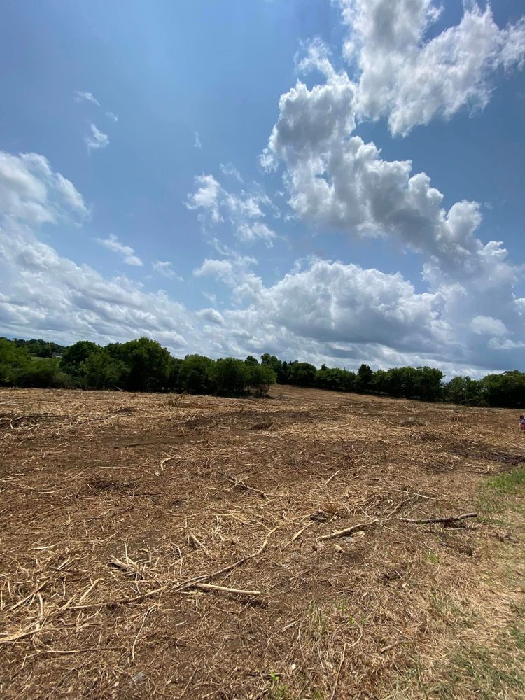 Our Forestry Mulching service efficiently clears overgrown land, turning unwanted vegetation into nutrient-rich mulch. This eco-friendly solution enhances landscape aesthetics while promoting soil health for a lush, well-maintained property. for Green Land Management in Mount Pleasant, TN