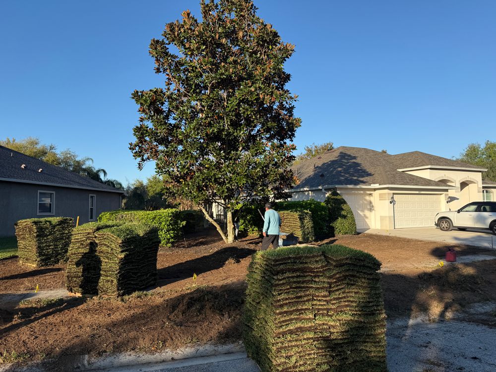 All Photos for Gulf Bay Sod in Clearwater, FL