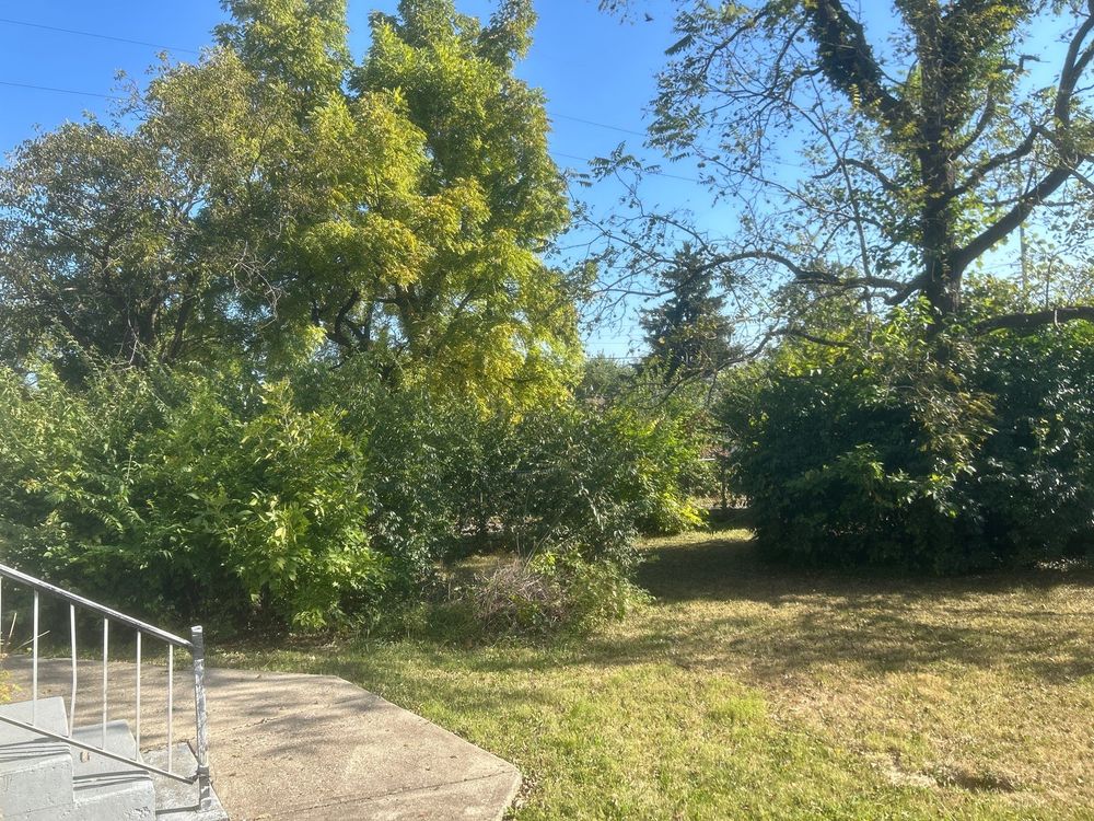 Fall Clean Up/ Leaf Removal for High Garden Landscapes in Dayton, OH