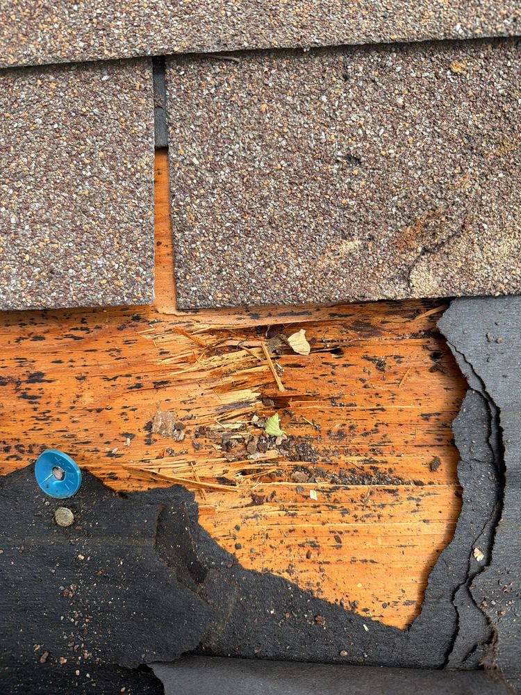 All Photos for Catastrophe Loss Consultants in Fort Worth, TX
