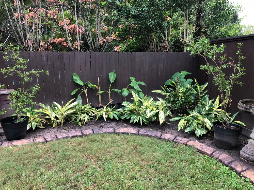 All Photos for Texas Curb N Borders in Houston, TX