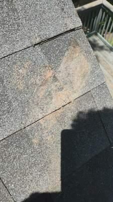 All Photos for Bulldawg Disaster Response in Atlanta, GA