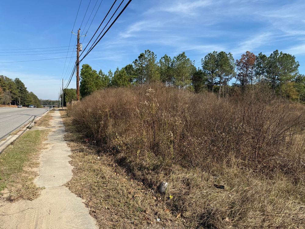 All Photos for T N L - Tree and Land Service in Reynolds, GA