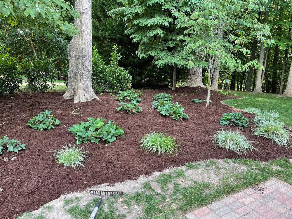 All Photos for Lewis Oaks Landscaping in King and Queen County, VA