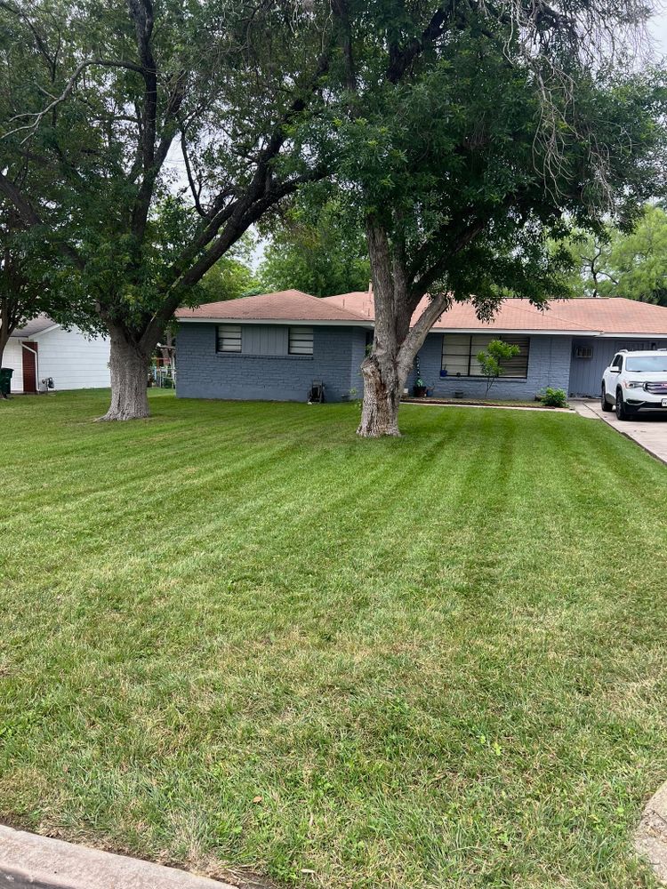 Lawn & Landscaping for Exellent lawn services in San Antonio, TX