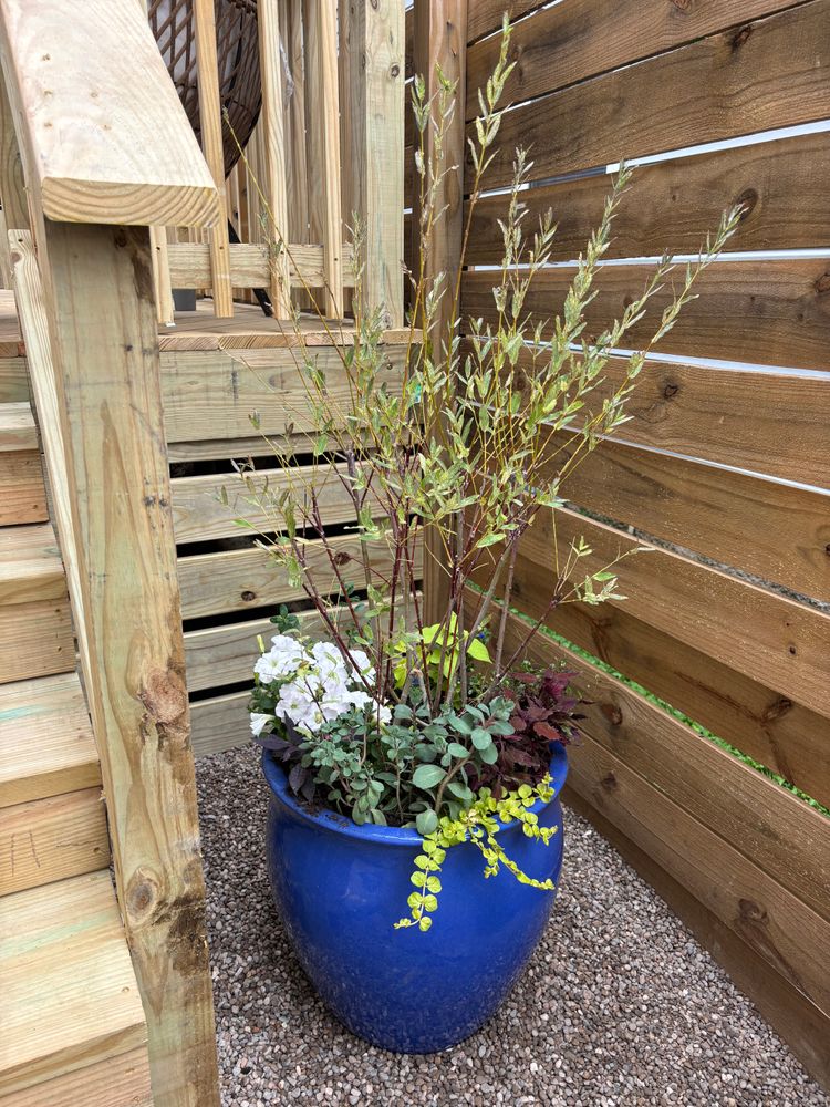 All Photos for B5’s Painting & General Services in Louisville, KY