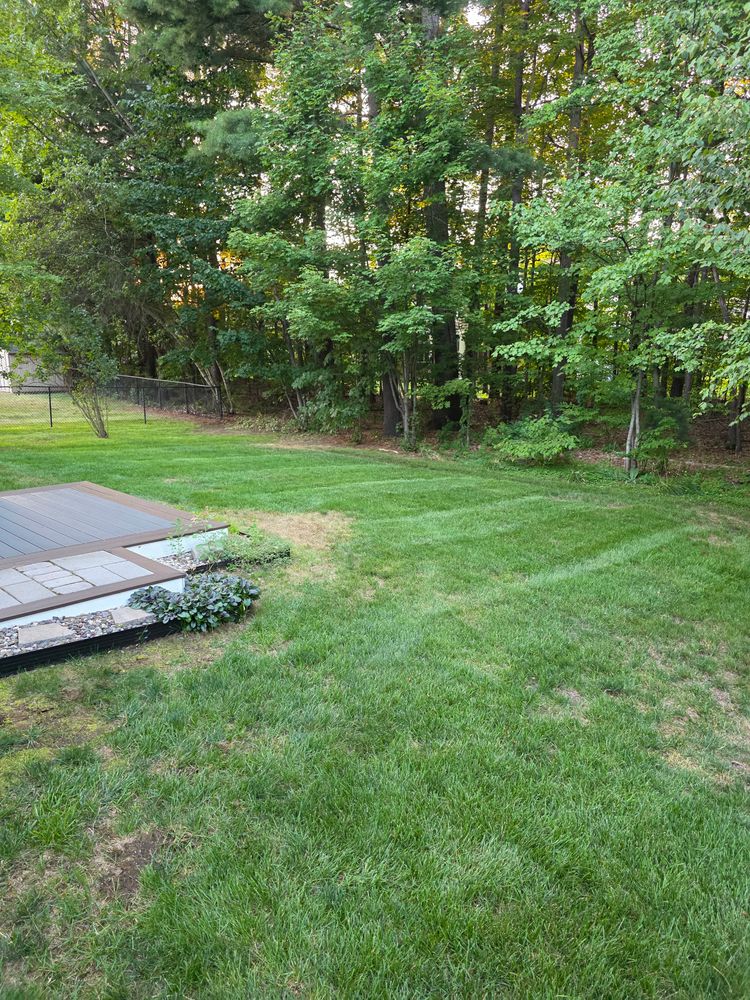 All Photos for Sweet Scapes in Ballston Spa, NY