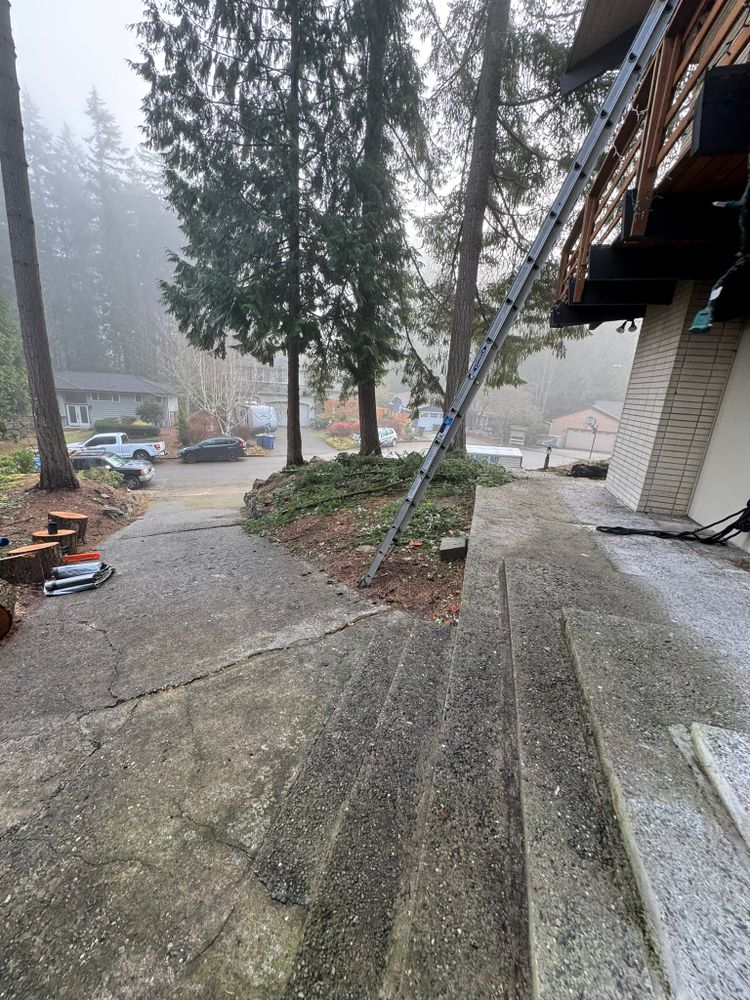 All Photos for Tony's Remodeling & Painting in Renton, WA