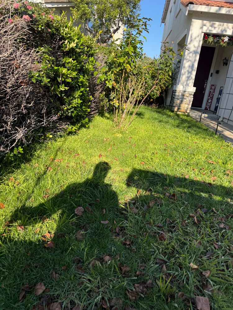 All Photos for CBA Landscaping in Hayward, CA