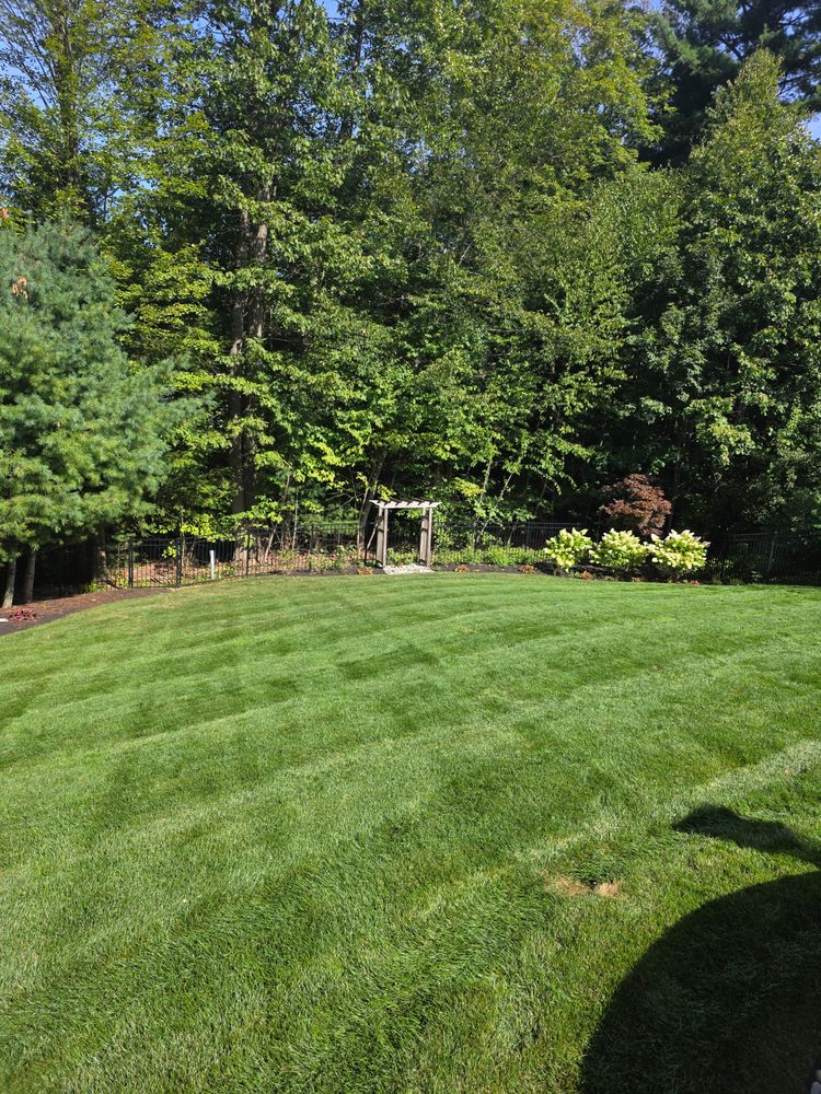 All Photos for Sweet Scapes in Ballston Spa, NY