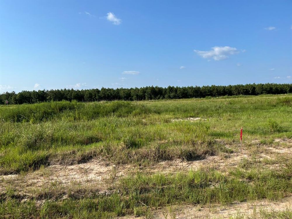 All Photos for My Linda House in Houston, TX