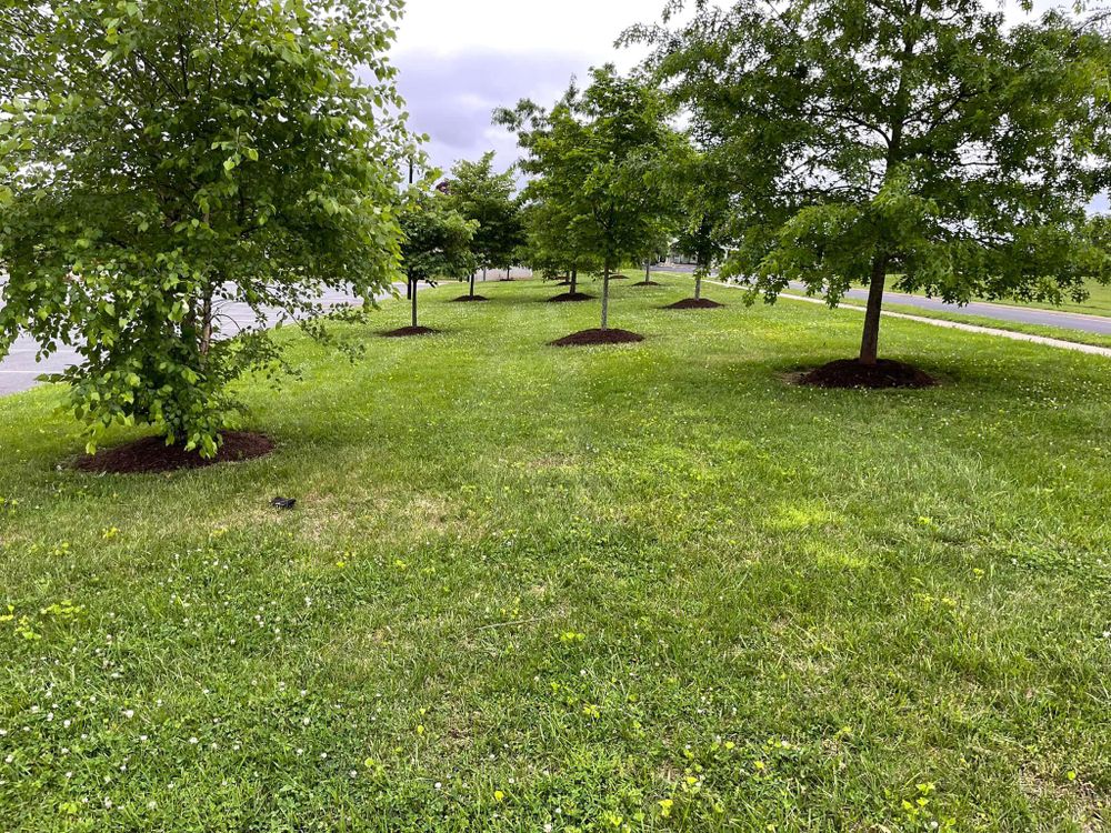 All Photos for Alpha Landscapes in Culpeper, VA