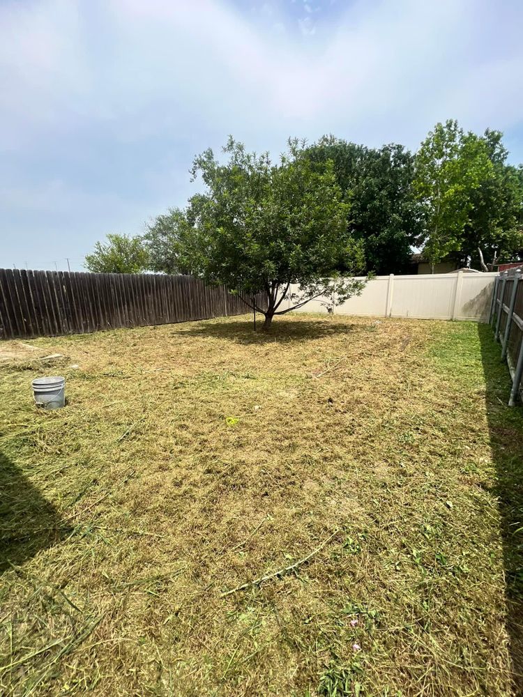 All Photos for Green Turf Landscaping in Kyle, TX