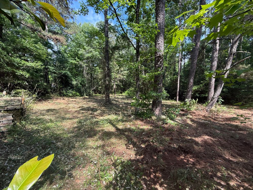 Clearing and mulching for Koelbl Site Works LLC in Fayetteville, GA