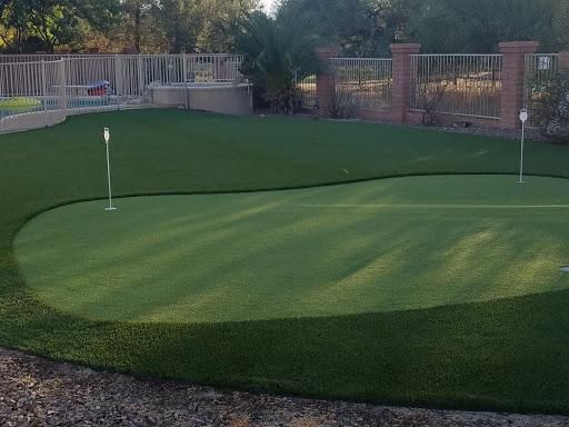 All Photos for Green landscape in Chandler, AZ