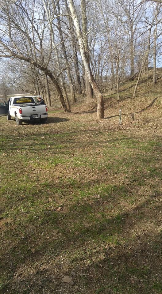 Tree Removal for Lightning Tree Service in Corydon, IN