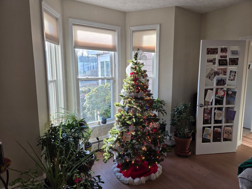 All Photos for Tuplin and Sons  in Braintree, MA