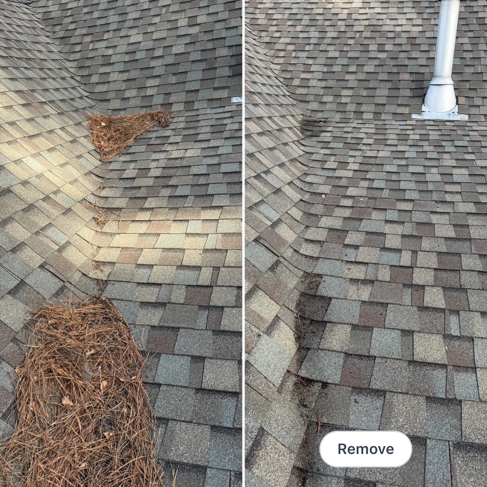 Mowing for Paul's Lawn Care and Pressure Washing in Wilson, NC