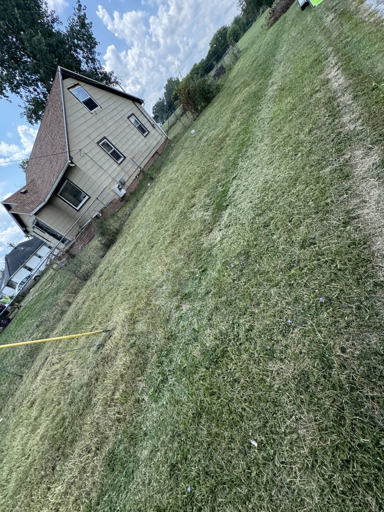 Landscaping Lawn Care for Daugherty's Tough Lawn Care in Essexville, MI