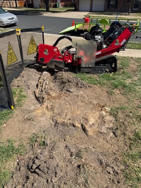 All Photos for Oakley’s Stump ‘N Grind in Leander, TX