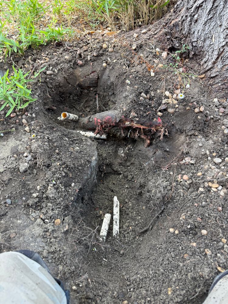 All Photos for CBA Landscaping in Hayward, CA