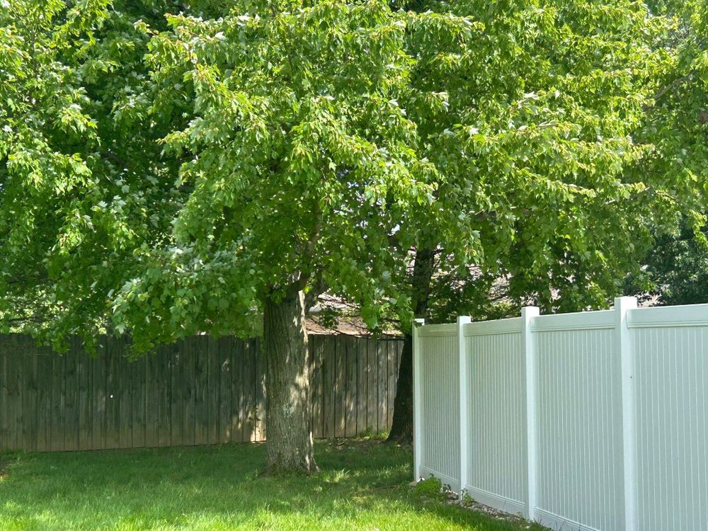 All Photos for Bearforce Lawn Care LLC in Greenfield, IN