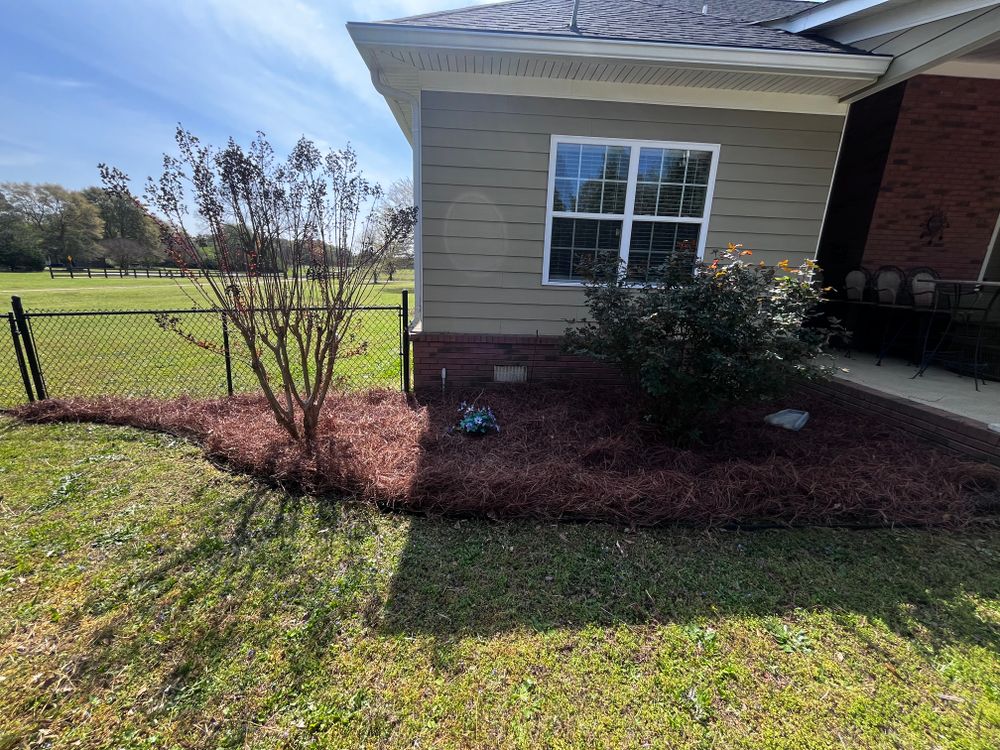 Pine Straw for Southern Outdoors Landscaping in Covington, GA