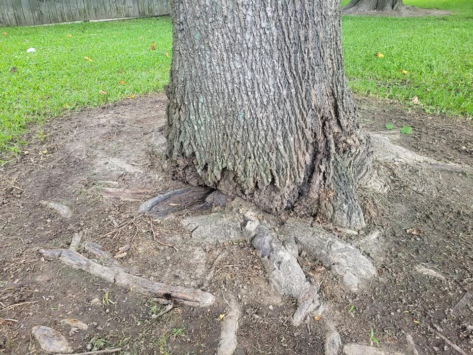 Other Services for Marables Tree Service in Currituck, NC