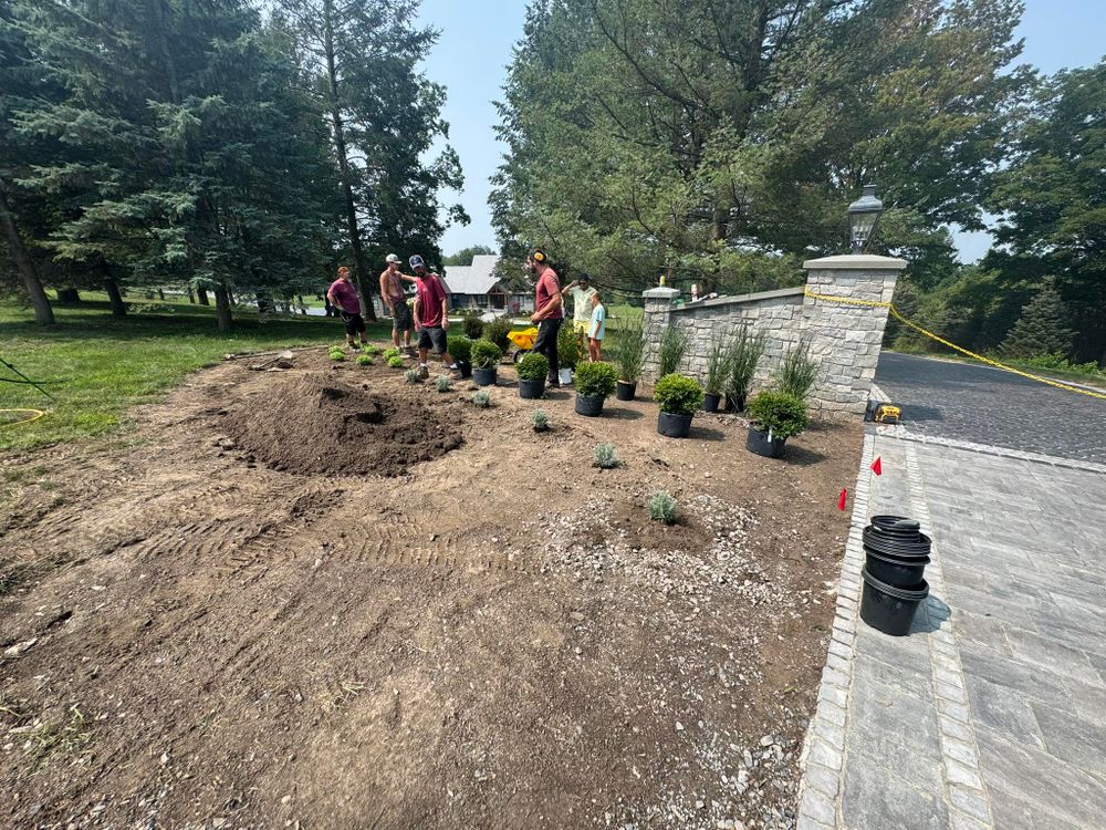 All Photos for The Lawn Guy in Saratoga Springs, NY