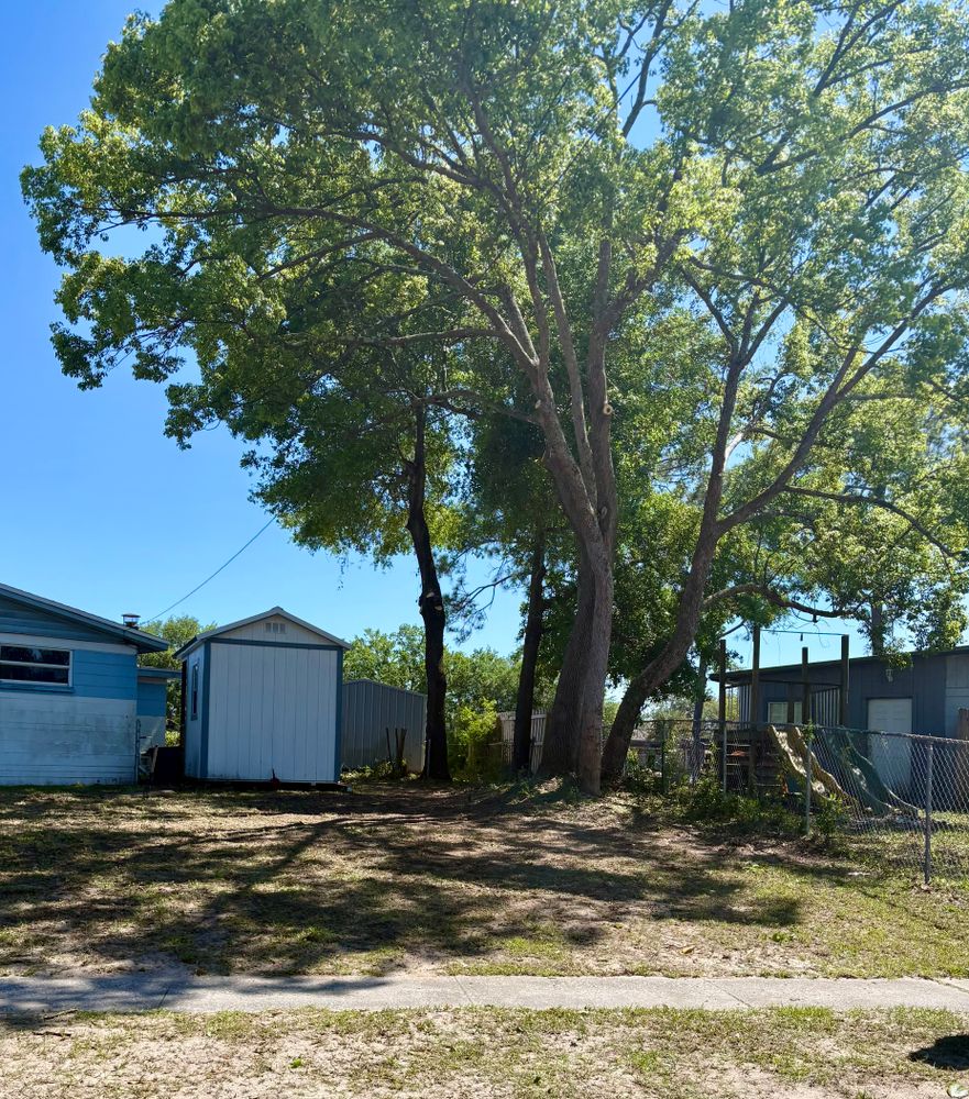 All Photos for Top Notch Tree Experts in Orange Park, FL