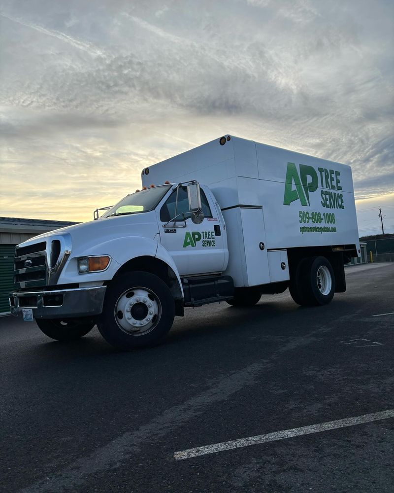 All Photos for AP Tree Service in Colbert, WA