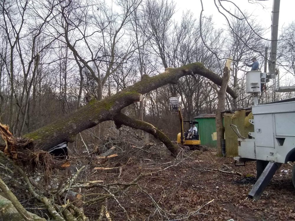 All Photos for Puckett's Tree Service in Decatur County, TN