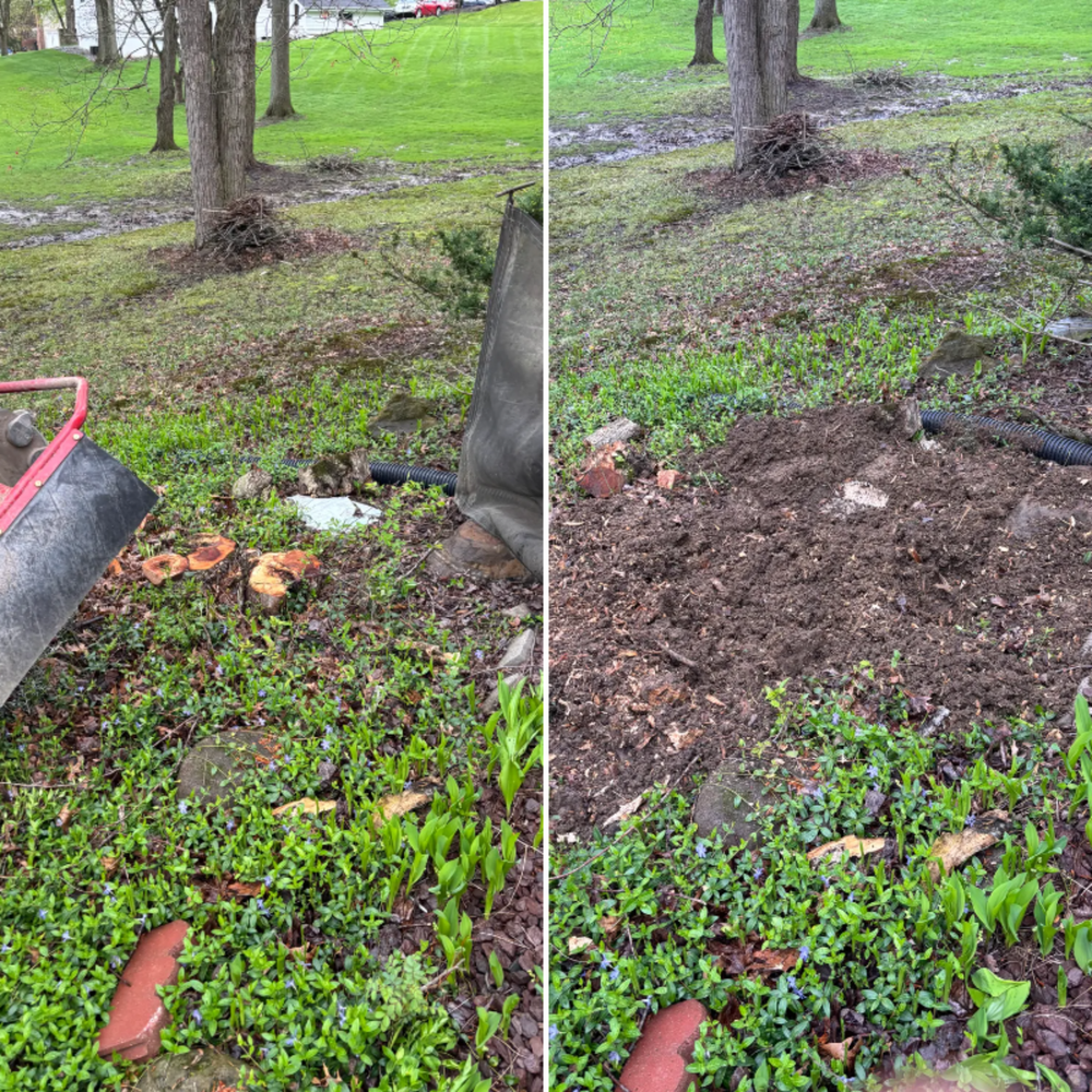 All Photos for Dean's Stump Removal in Youngstown, OH