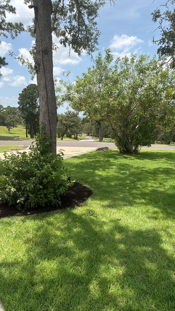 All Photos for Green Pastures Lawn Care in Bastrop, TX